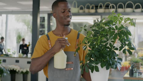 man watering plant in a flowershop