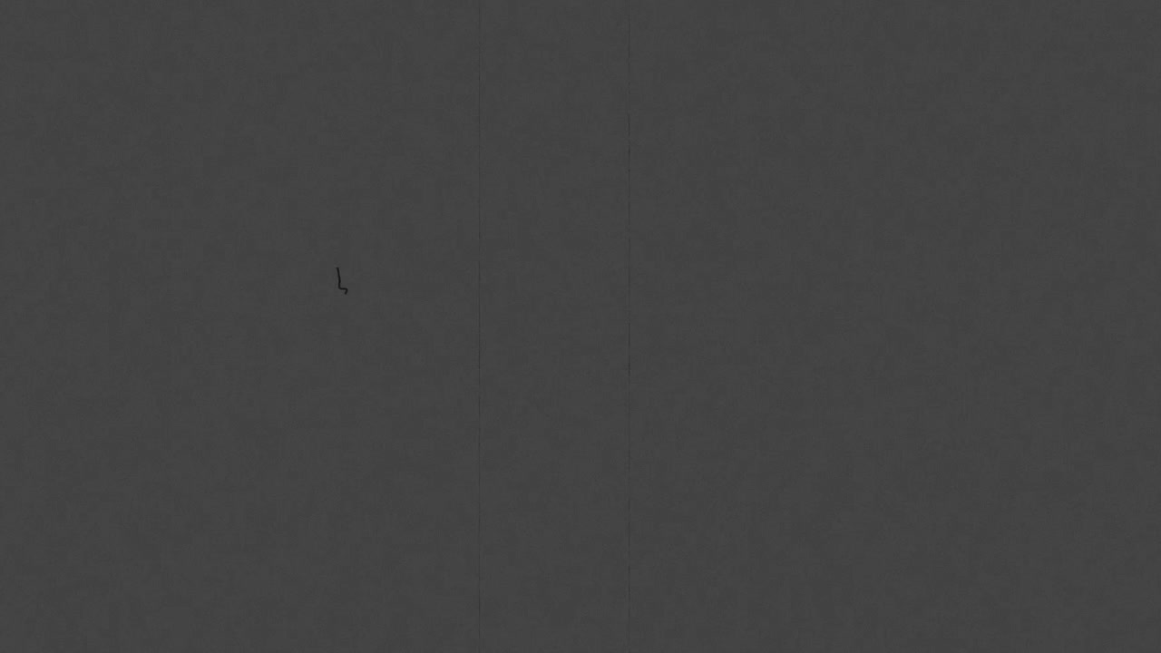 Vintage Film Grain Overlay with Scratches and Dust