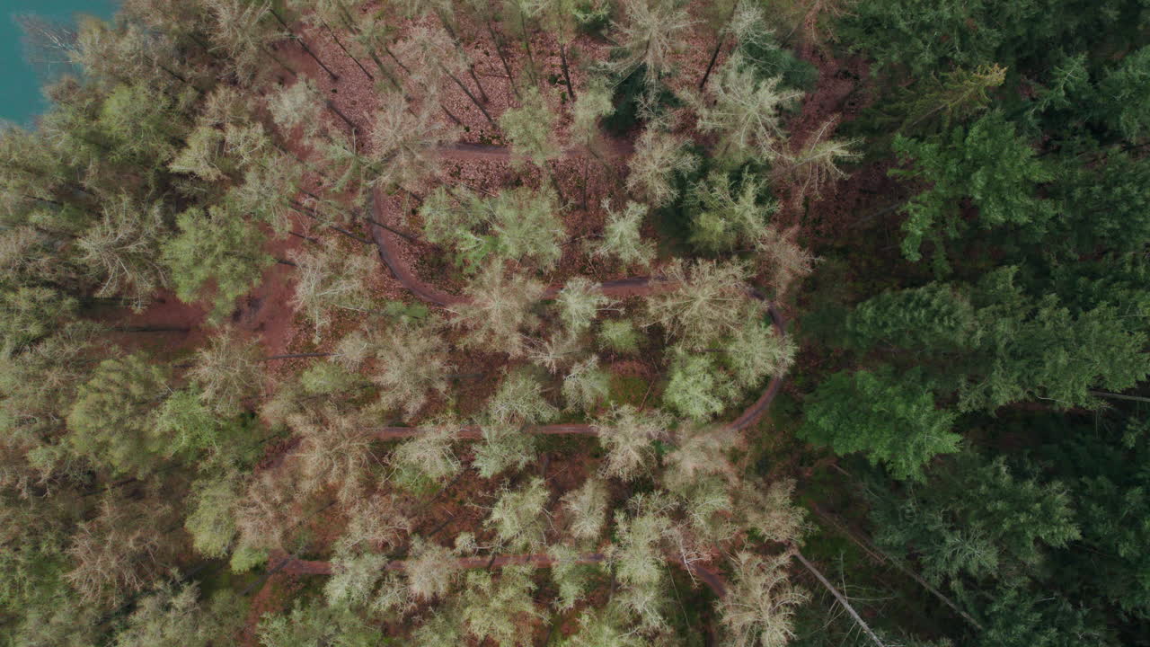 Top View Of Forest With Mountain Bike Route In 't Nije Hemelriek, Gasselte In Province of Groningen, Netherlands