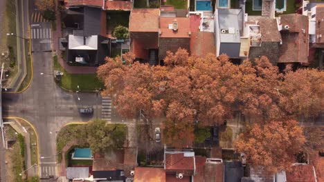 antena de arriba hacia abajo de los autos que circulan por la avenida paraná, un barrio elegante en buenos aires durante el otoño