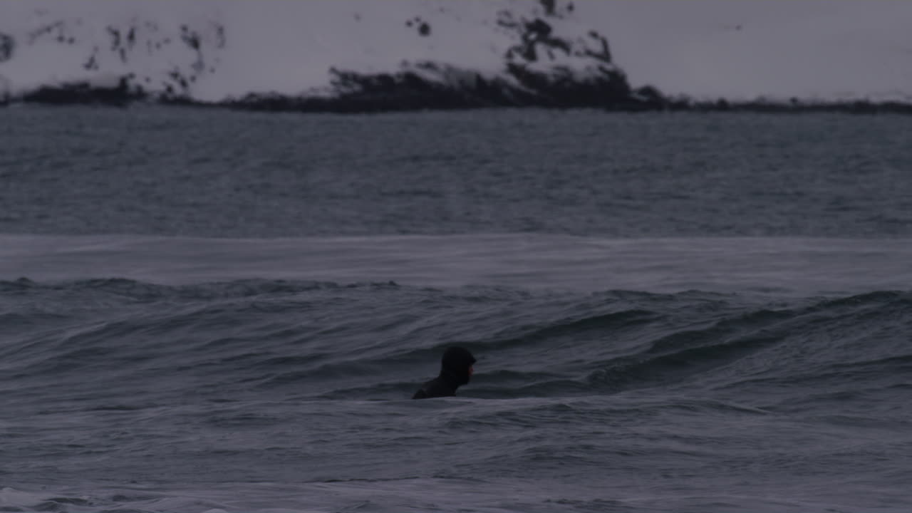 movimiento lento de surfista atrapando poderosa ola ártica en islandia, agua helada chocando alrededor
