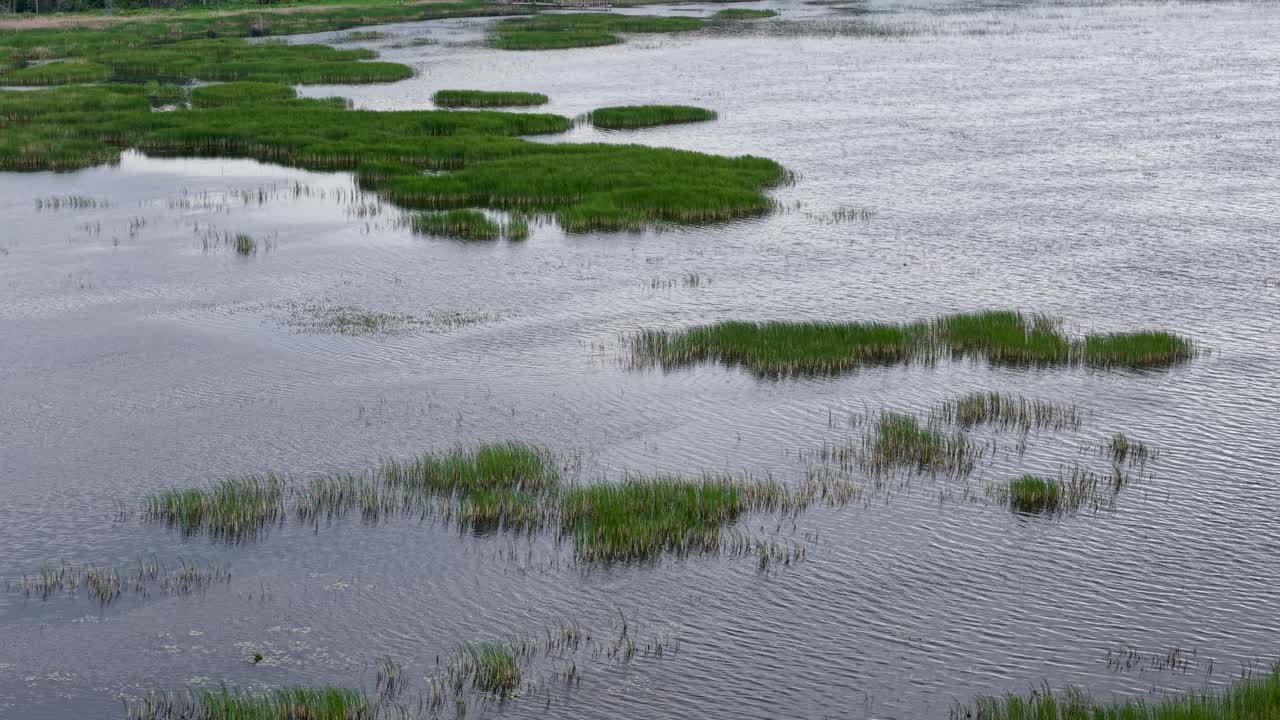 Aerial drone view of waterlogged meadow with patches of grass and trees scattered across the flooded landscape