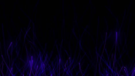 model network connection lines for technology concept
