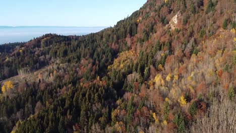 Toma-De-Un-Dron-De-Una-Colorida-Ladera-De-Otoño-Cubierta-De-Bosque