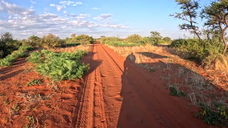 a time warp of a safari vehicle and its shadow driving through the bushveld of the southern kalahari, a lush savannah landscape passes by