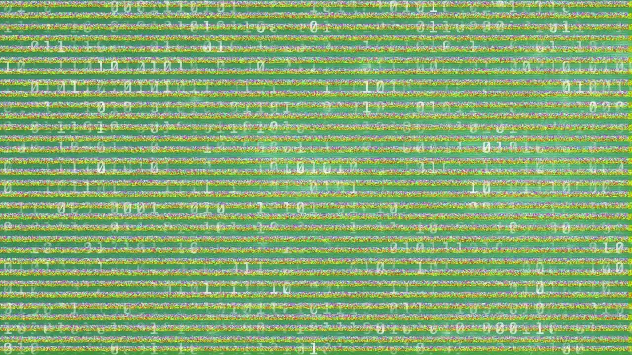 Animation of interference over data processing on green background