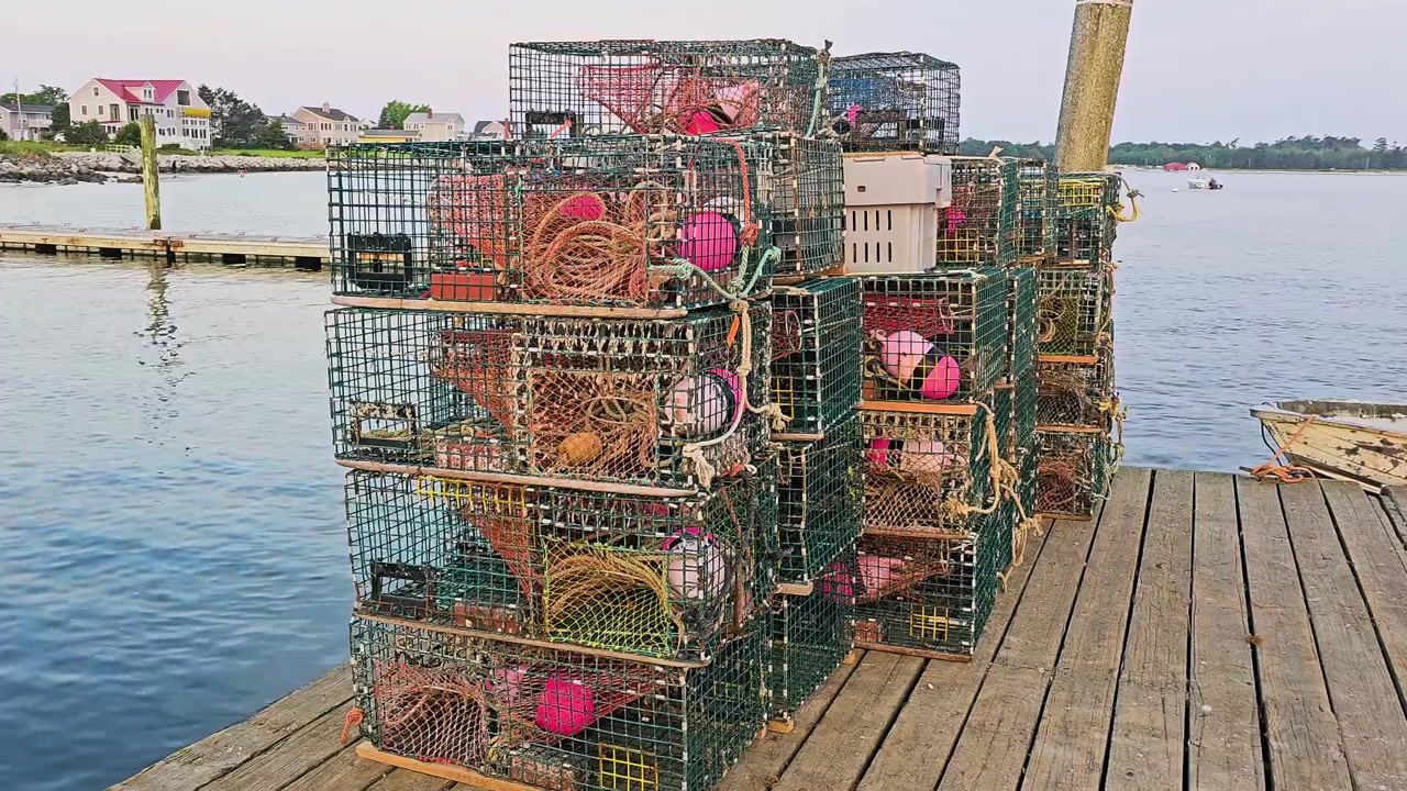 Nasse per aragoste impilate su un molo marittimo mostrano attrezzature da pesca robuste, corda, boe, sacchi per esche, acqua calma e uno sfondo di villaggio costiero per video stock marittimi