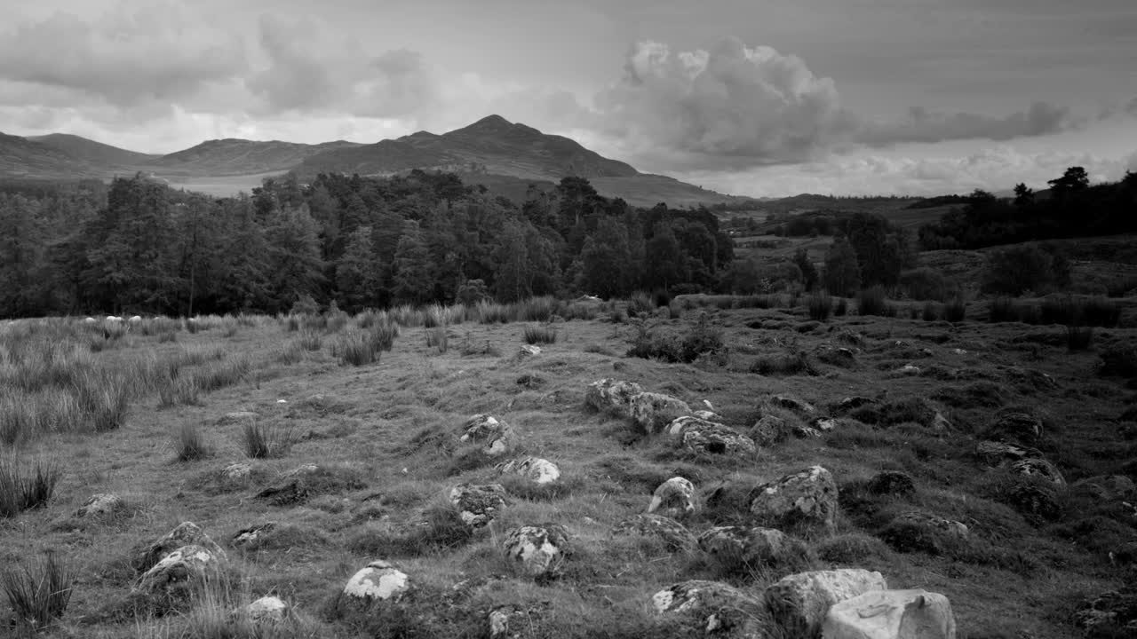 스코틀랜드 잔디 돌 01