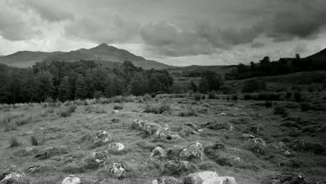 piedras de hierba escocesa 01