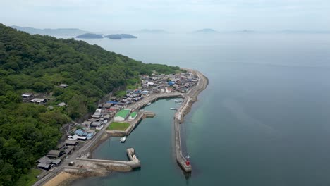 sanagi cat island in japan, aerial drone flight
