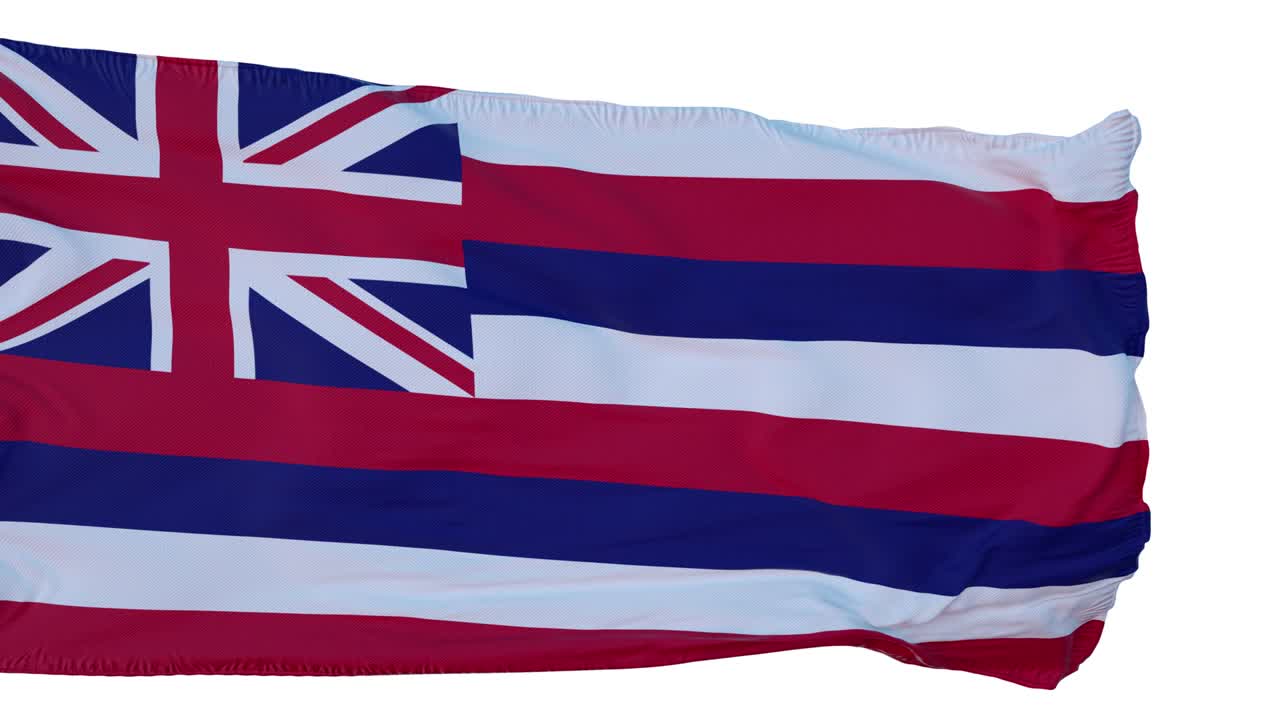 하와이 발: 고립 된 현실적인 애니메이션, 원활한 루프, 4k