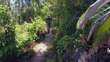 mo: excursionista masculino corre por el camino de la jungla verde hacia la cámara