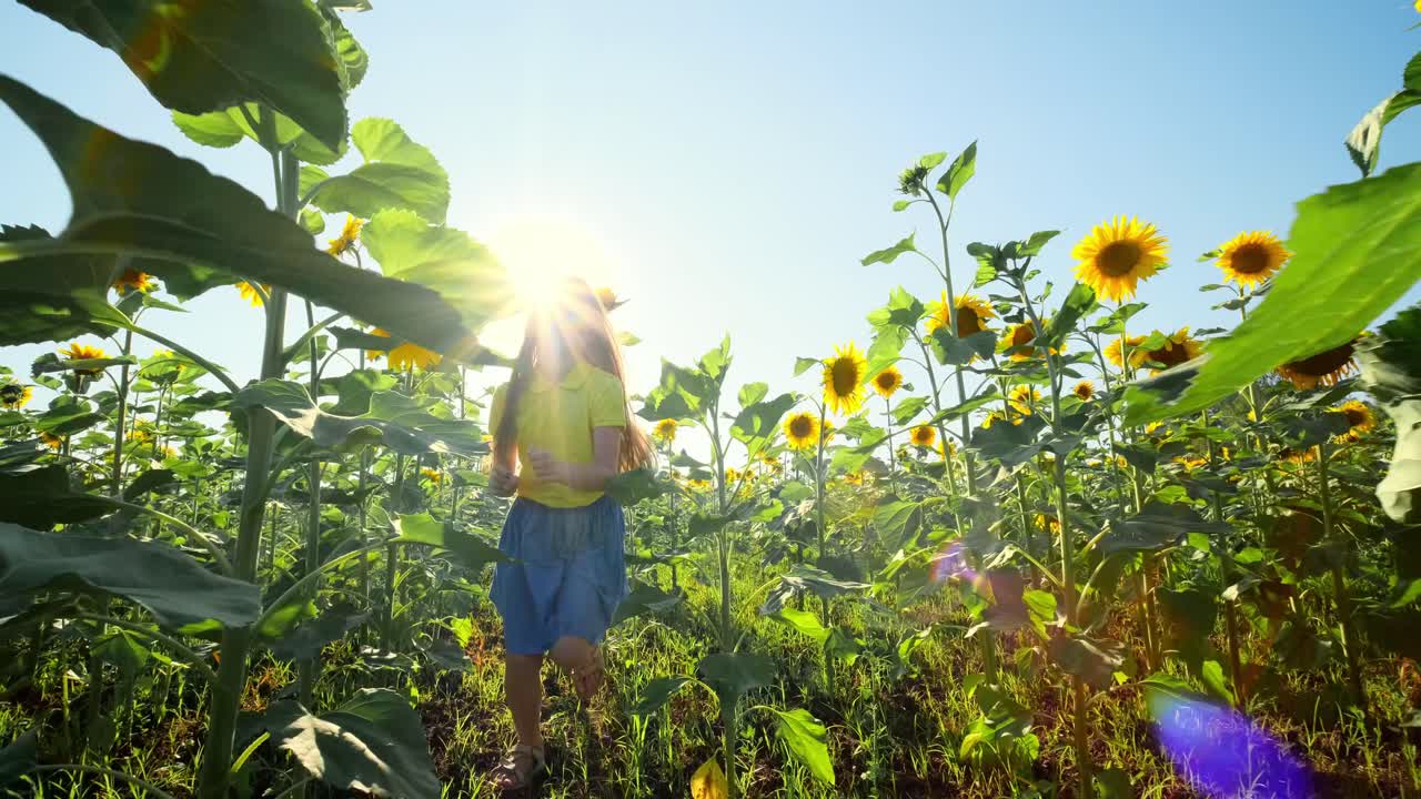 Girl Running in a Sunflower Field