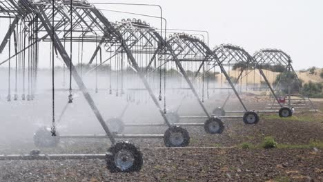 Reihe-Von-Bewässerungssprinklersystemen-Mit-Mittlerem-Drehpunkt,-Die-Landwirtschaftliche-Feldfrüchte-In-Punjab-Bewässern