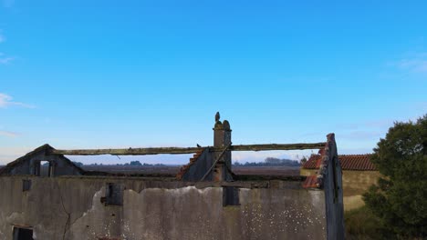 royal kite on a old house filmed with hdr on