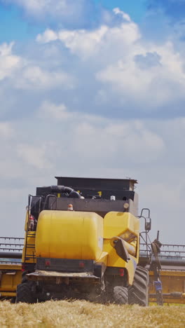 back view of agricultural machine in work. contemporary combine harvester farming on the background of yellow field during summer seasonal works. vertical video