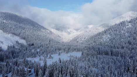 Tiro-De-Drone-De-Bosque-De-Invierno-Con-Montañas