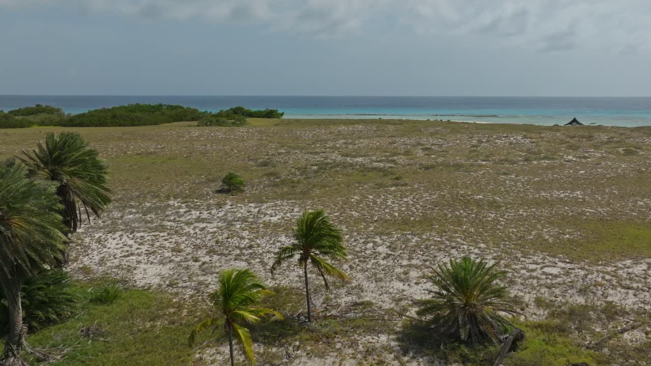 un avión no tripulado disparado hacia adelante sobre la isla tropical de cayo aguá en venezuela