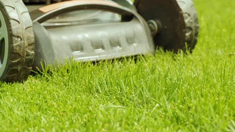 lawn mower cutting the grass. gardening activity. cutting grass with petrol driven lawn mower in sunny garden. gardener working with  mower machine in the garden. lawn mower cutting green grass