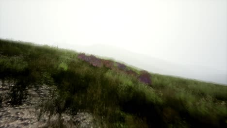aerial green hills landscape in fog