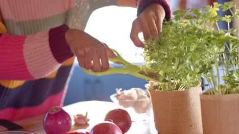 Mid-section-of-african-american-woman-preparing-meal-in-sunny-kitchen