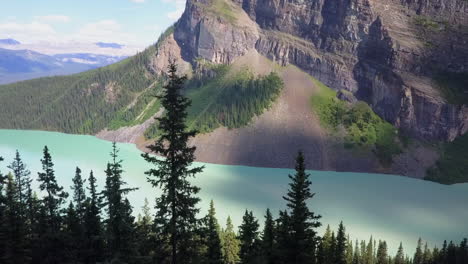 low tree top flight to glacial green lake louise, banff national park