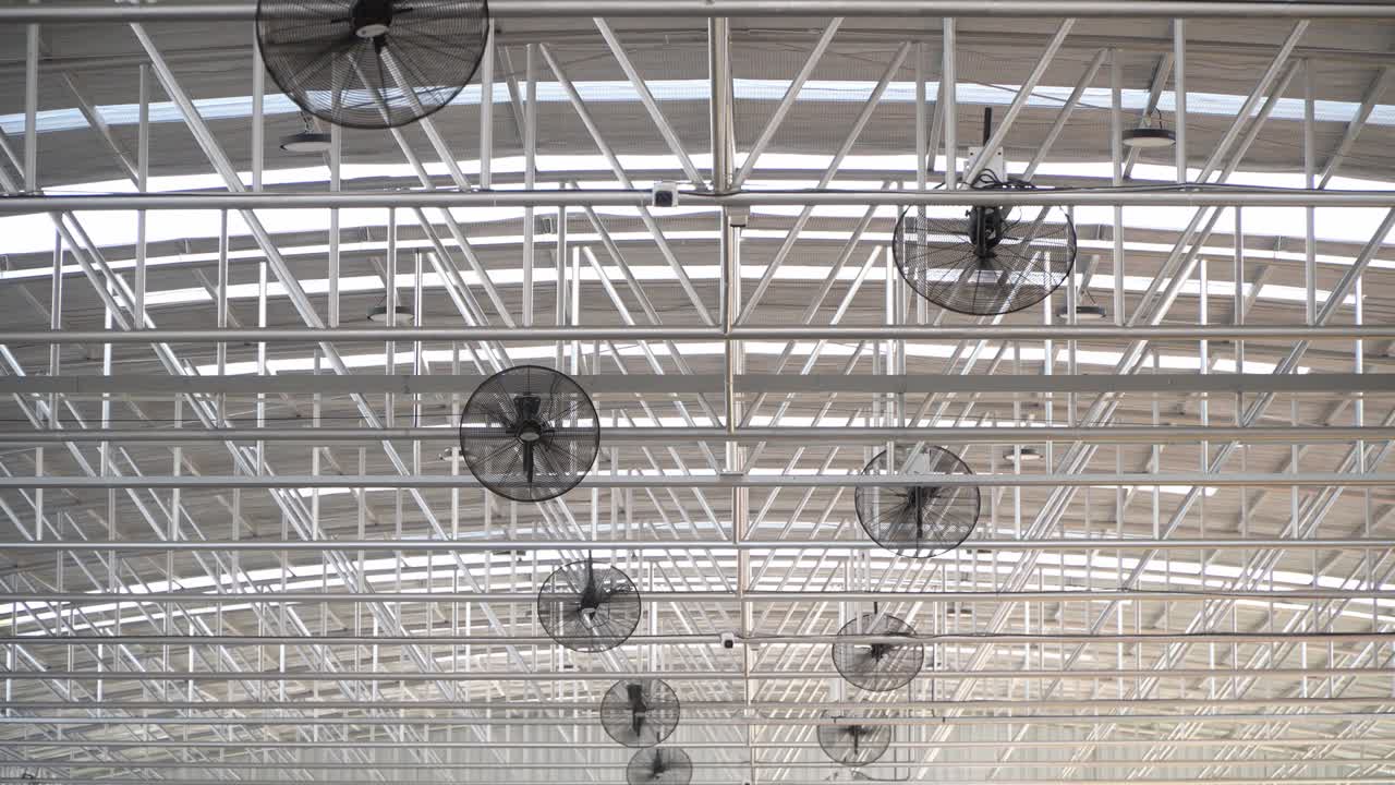 Fan in modern agricultural greenhouse. Greenhouse ventilation system,Food center ventilation concept.