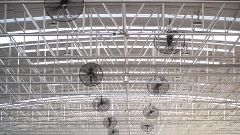 ventilador en el invernadero agrícola moderno. sistema de ventilación de invernadero, concepto de ventilación del centro de alimentos.