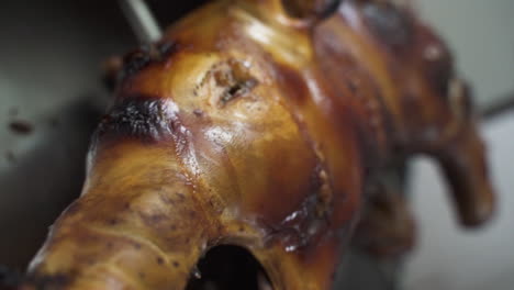 Crispy-roasted-piglet-snout-and-face---Detail-shot-shallow-focus