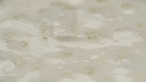 bubbles and foam on a surface