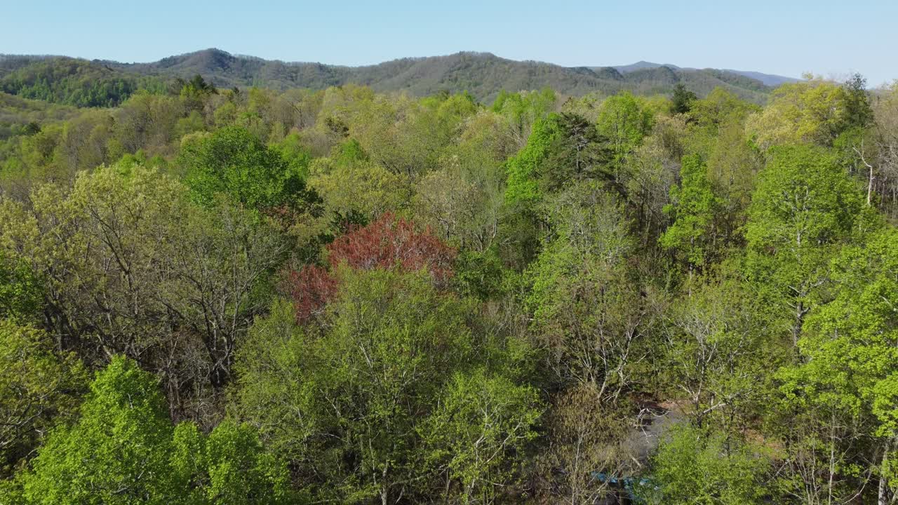 Montagne di Black Mountain, NC, Asheville, NC in primavera con una chiesa nell'inquadratura