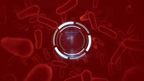 Animation-of-circle-structure-spinning-over-biological-cells-floating-on-red-background