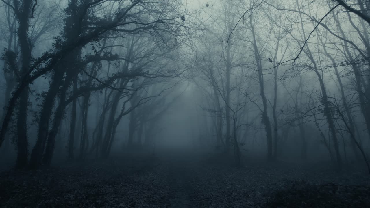 Foggy dark mysterious forest pathway from horror scene, dolly forward from slow to fast