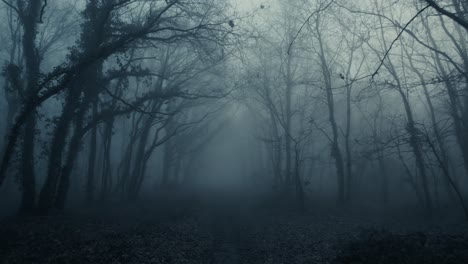 Brumoso,-Oscuro-Y-Misterioso-Camino-Del-Bosque-Desde-La-Escena-De-Terror,-Muévete-Hacia-Adelante-De-Lento-A-Rápido