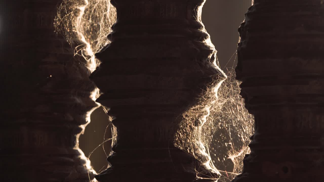 arañas telarañas brillando al sol de la tarde, enredadas alrededor de pilares en las ventanas de angkor wat