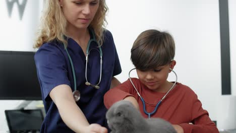 Female-doctor-showing-how-to-examine-cat.