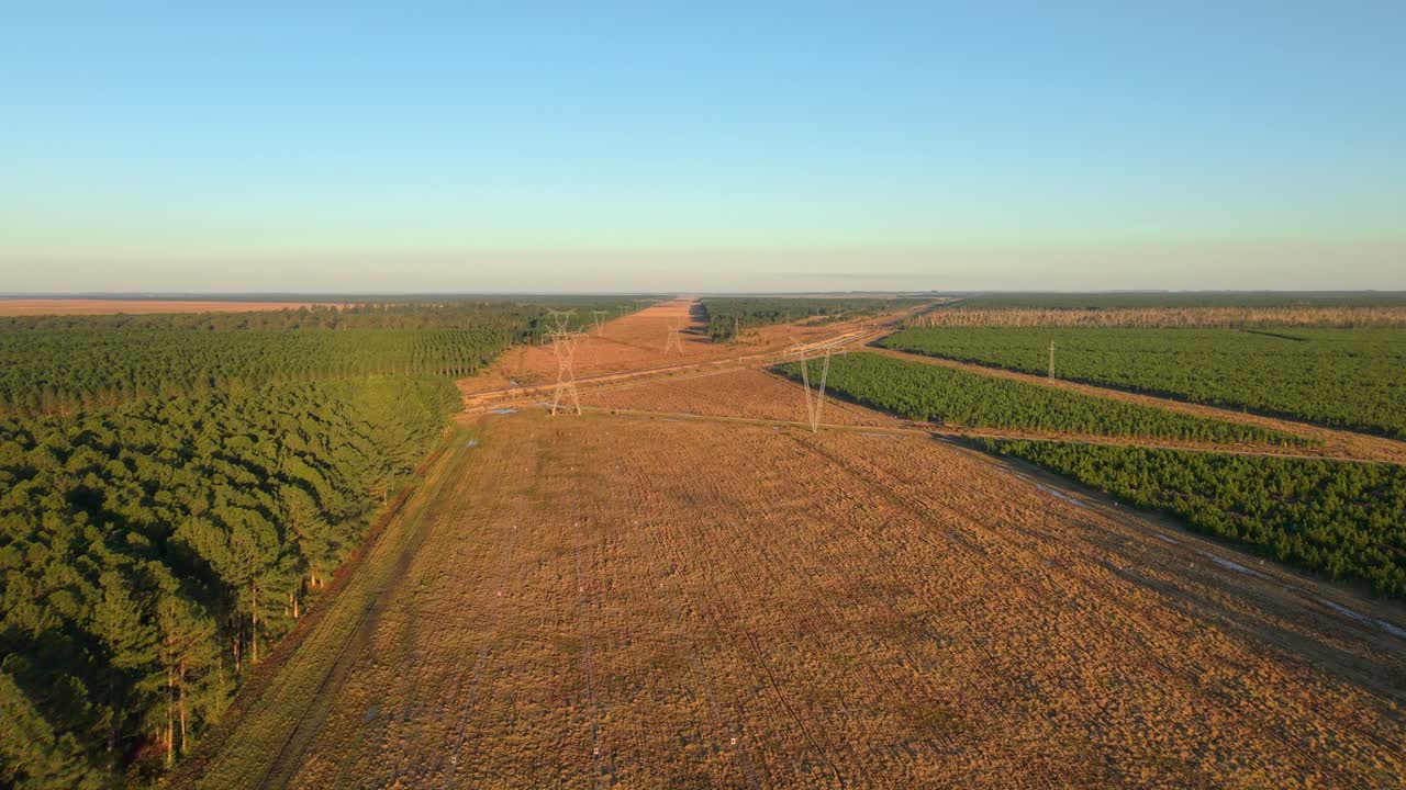 Aerial view of high-voltage transmission towers cutting through dense Argentine forests