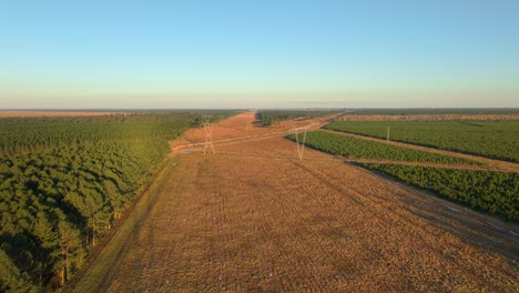 aerial view of high-voltage transmission towers cutting through dense argentine forests