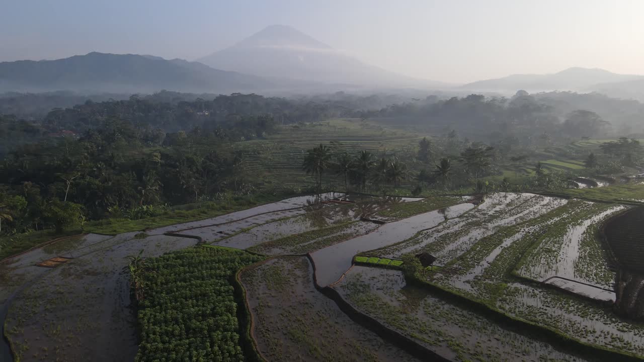vista aérea, a vista matinal dos campos de arroz em socalcos no distrito kajoran de magelang