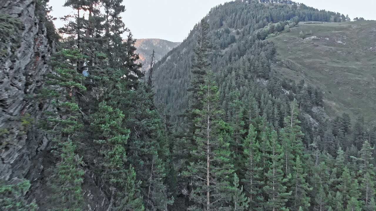 Paesaggio montano in Georgia con alberi alti e pareti rocciose