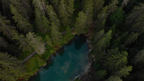 bosque de coníferas verde que rodea el lago caumasee en flims, grisons, suiza