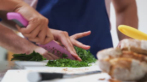 primer plano de una mujer cortando hierbas frescas para el plato en la clase de cocina de la cocina