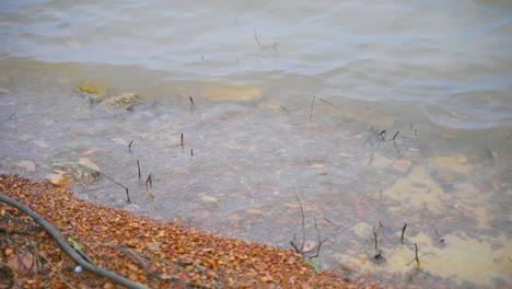 海浪在海岸线上打破