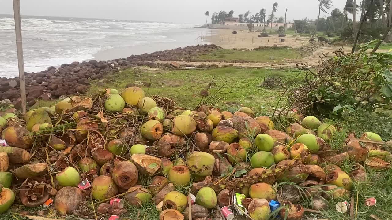 número de cocos arrojados a la playa después de beber su pulpa