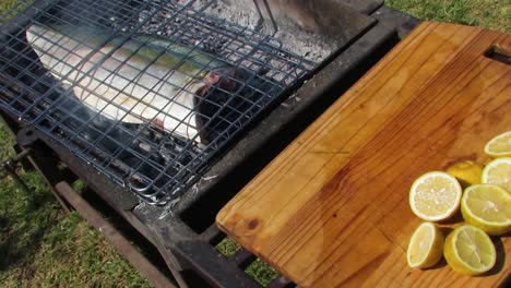 cooking fish over the grill