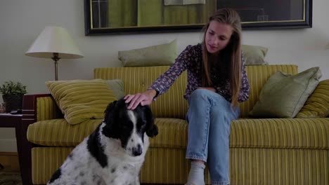 young attractive woman sitting on a couch in a classically furnished house petting a black and white dog, slow motion