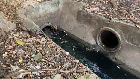 Asian-Monitor-Lizard-Crawls-Inside-The-Canal-With-Polluted-Black-Dirty-Water-At-Bangkok,-Thailand