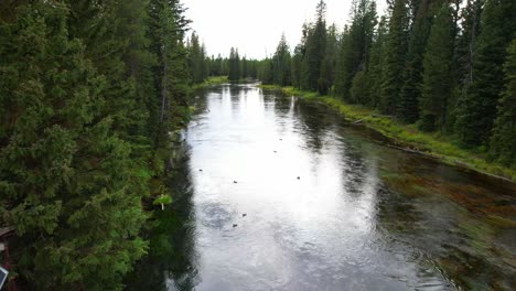 Beautiful-drone-shot-of-big-springs-river-in-Island-park-Idaho