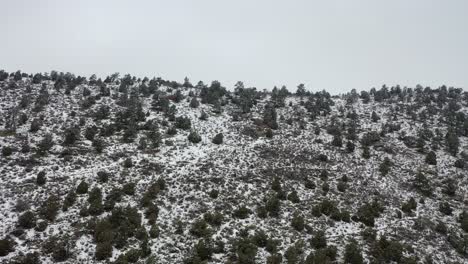 Un-Vuelo-De-Drones-Sobre-Una-Colina-Congelada-Después-De-Una-Tormenta-De-Invierno