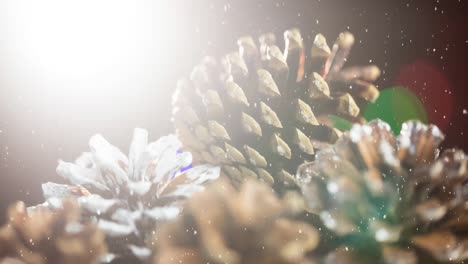 Animation-of-snow-falling-over-pine-cones